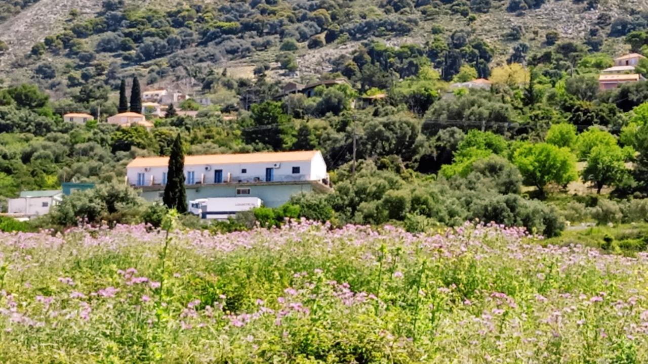 Aelia Sea Daire Argostolion Dış mekan fotoğraf